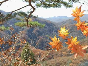 濱城往年12月27日疫情實時更新通報