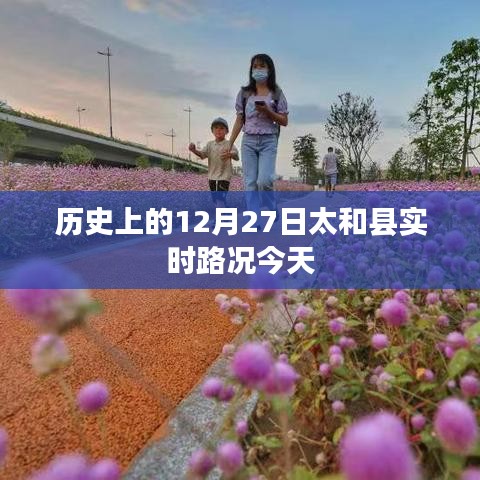 歷史上的太和縣今日實(shí)時(shí)路況回顧，12月27日路況播報(bào)