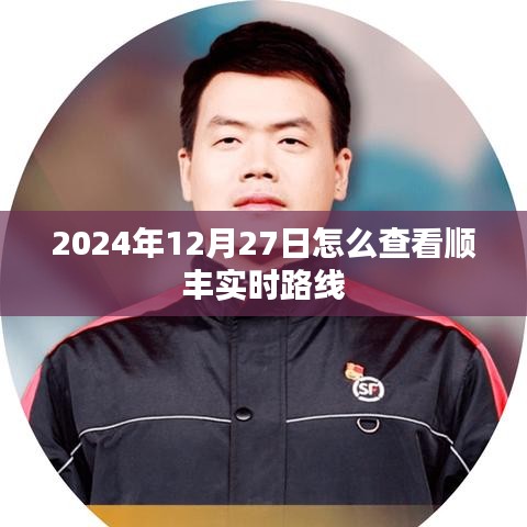 順豐實(shí)時(shí)路線查詢指南，如何查看順豐快遞實(shí)時(shí)動(dòng)態(tài)