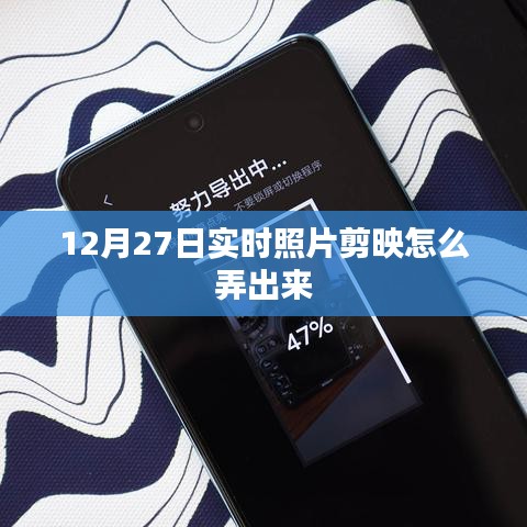 2024年12月29日 第13頁