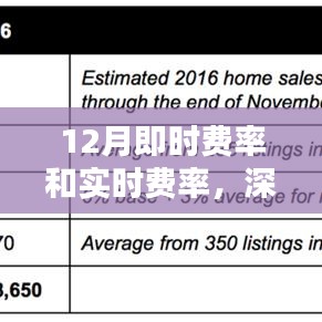 深度解析與應(yīng)用的實(shí)時(shí)費(fèi)率和即時(shí)費(fèi)率解析（十二月版）