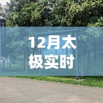 太極實(shí)時(shí)單，12月實(shí)戰(zhàn)體驗(yàn)分享