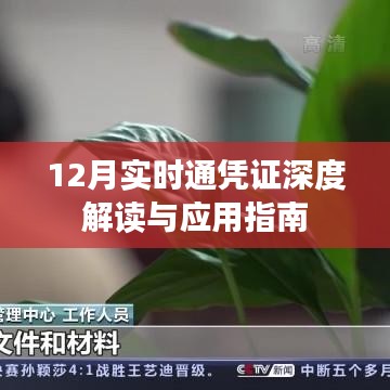 12月實(shí)時(shí)通憑證解讀與應(yīng)用指南，深度解析