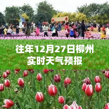 柳州往年12月27日實時天氣預報概況