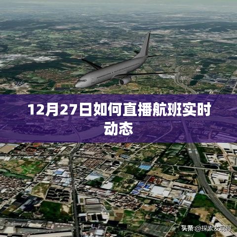 第3頁