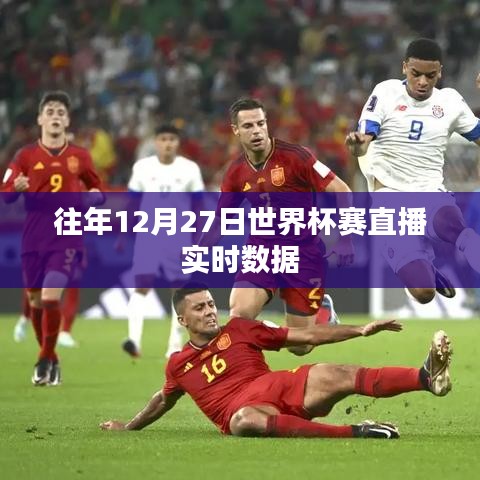 世界杯賽直播歷年數(shù)據(jù)回顧，歷年世界杯賽直播實時數(shù)據(jù)解析