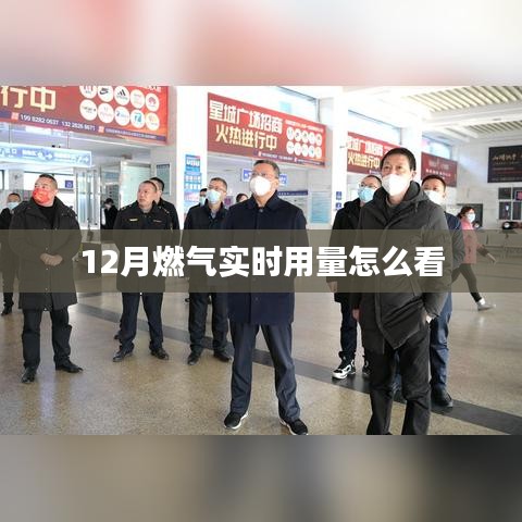 12月燃氣用量實時查看攻略