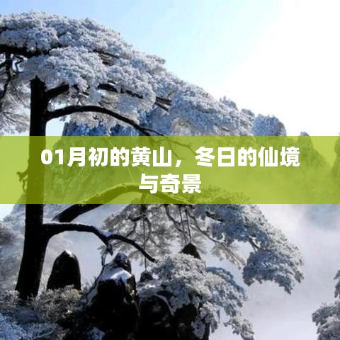 黃山冬景奇觀，仙境般的初冬畫(huà)卷