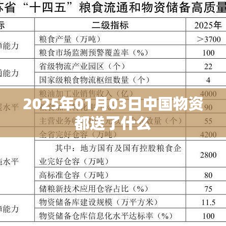 中國物資在2025年1月3日的物流動態(tài)，物資配送概覽