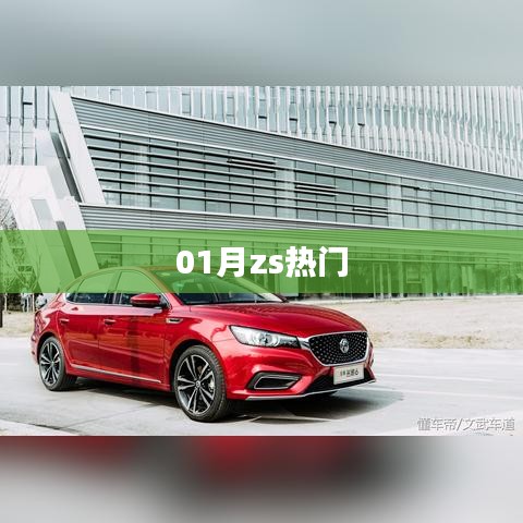 最新熱門趨勢，ZS一月熱議焦點