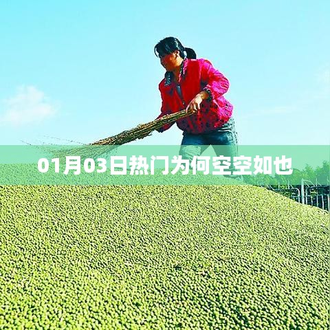 01月03日熱門為何無內(nèi)容展示？