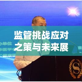監(jiān)管挑戰(zhàn)應(yīng)對之策與未來展望