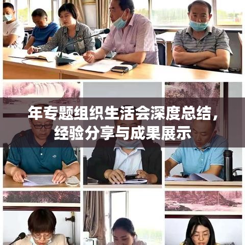 年專題組織生活會深度總結(jié)，經(jīng)驗分享與成果展示