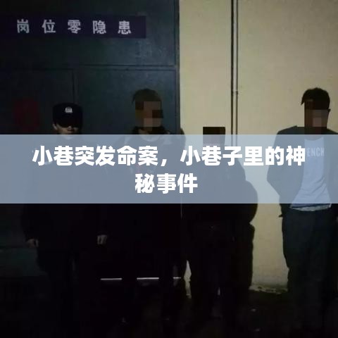 小巷突發(fā)命案，小巷子里的神秘事件