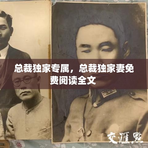 總裁獨家專屬，總裁獨家妻免費閱讀全文