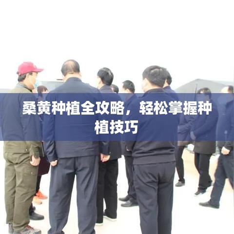越鳥(niǎo)南棲 第2頁(yè)