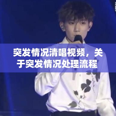 拋磚引玉 第2頁(yè)