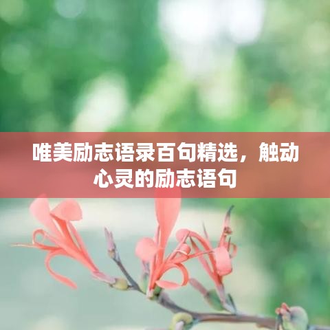 唯美勵志語錄百句精選，觸動心靈的勵志語句