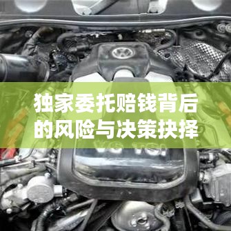 獨(dú)家委托賠錢背后的風(fēng)險(xiǎn)與決策抉擇