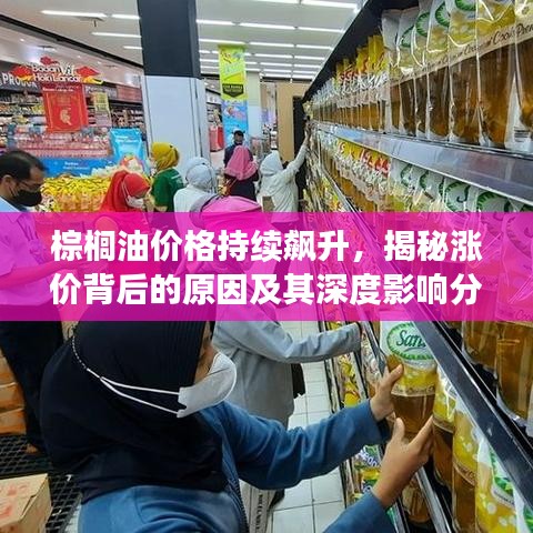 棕櫚油價格持續(xù)飆升，揭秘漲價背后的原因及其深度影響分析