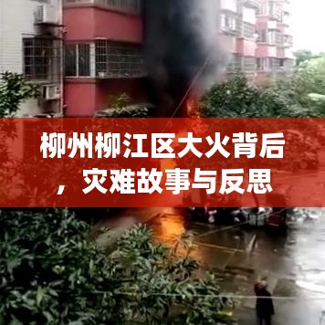 沉魚落雁 第2頁