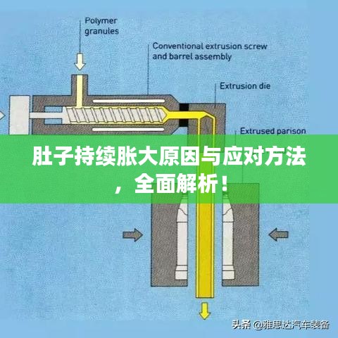 肚子持續(xù)脹大原因與應(yīng)對(duì)方法，全面解析！