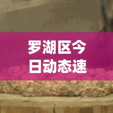 羅湖區(qū)今日動態(tài)速遞，最新情況一覽