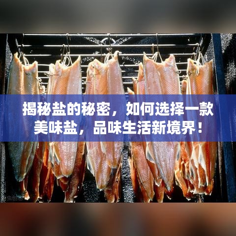 揭秘鹽的秘密，如何選擇一款美味鹽，品味生活新境界！
