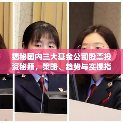 揭秘國內三大基金公司股票投資秘籍，策略、趨勢與實操指南