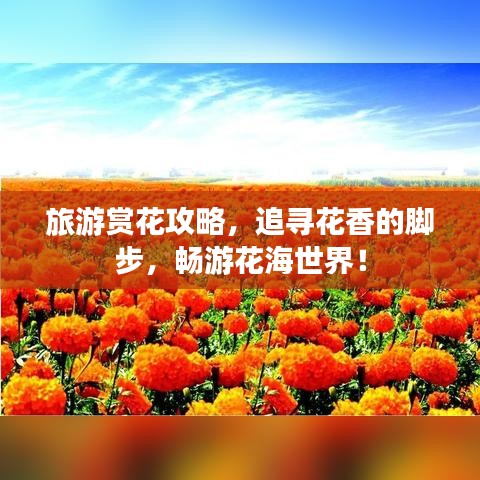 旅游賞花攻略，追尋花香的腳步，暢游花海世界！