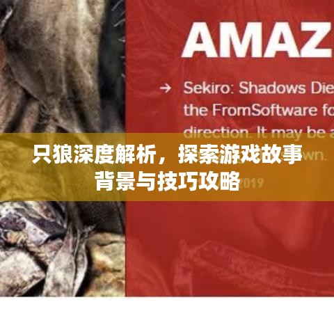 只狼深度解析，探索游戲故事背景與技巧攻略