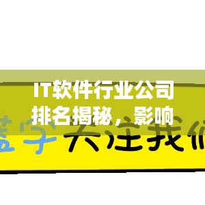 IT軟件行業(yè)公司排名揭秘，影響力深度解析！