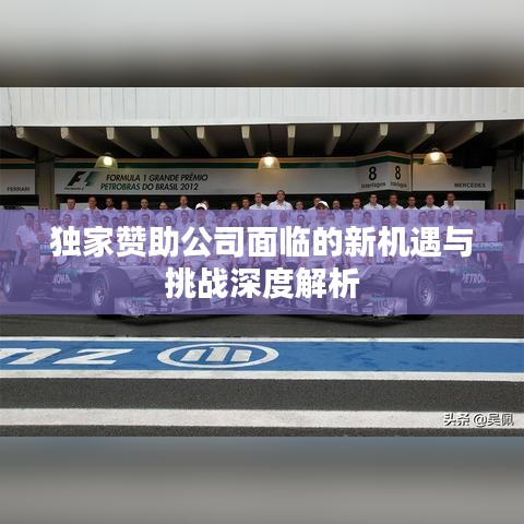 獨(dú)家贊助公司面臨的新機(jī)遇與挑戰(zhàn)深度解析