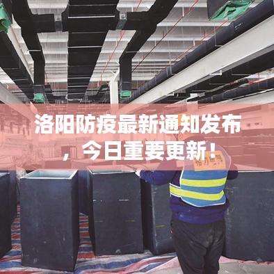 洛陽防疫最新通知發(fā)布，今日重要更新！