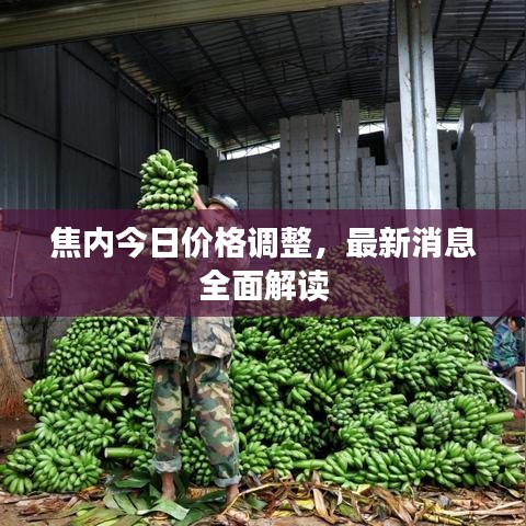 焦內(nèi)今日價(jià)格調(diào)整，最新消息全面解讀