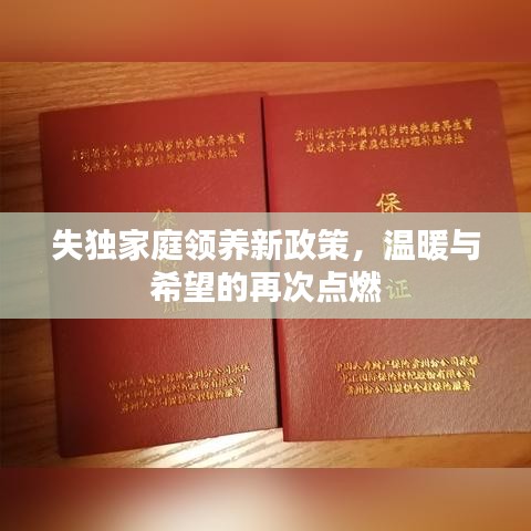 失獨家庭領養(yǎng)新政策，溫暖與希望的再次點燃
