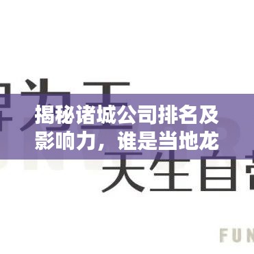 揭秘諸城公司排名及影響力，誰(shuí)是當(dāng)?shù)佚堫^企業(yè)？