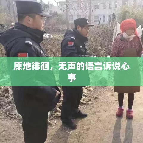 原地徘徊，無聲的語言訴說心事