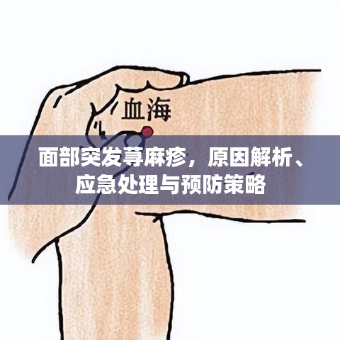 面部突發(fā)蕁麻疹，原因解析、應急處理與預防策略