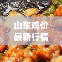 山東雞價(jià)最新行情走勢分析，今日市場動(dòng)態(tài)揭秘