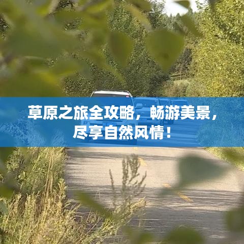 草原之旅全攻略，暢游美景，盡享自然風(fēng)情！