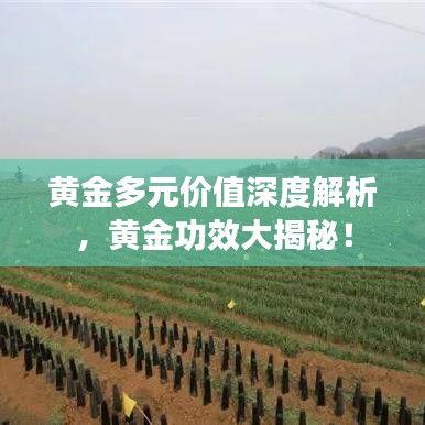 黃金多元價(jià)值深度解析，黃金功效大揭秘！