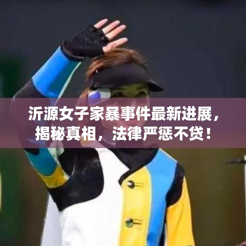 沂源女子家暴事件最新進展，揭秘真相，法律嚴懲不貸！