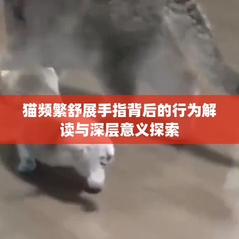 下載中心 第30頁