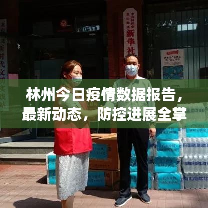林州今日疫情數(shù)據(jù)報告，最新動態(tài)，防控進展全掌握