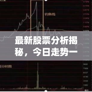 最新股票分析揭秘，今日走勢(shì)一網(wǎng)打盡