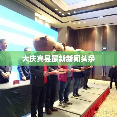 大慶賓縣最新新聞頭條