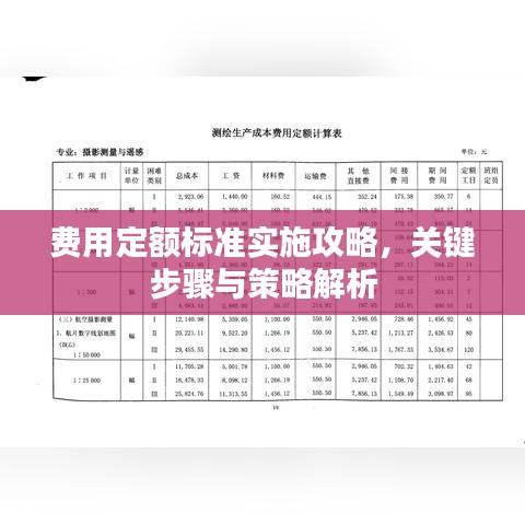 費(fèi)用定額標(biāo)準(zhǔn)實(shí)施攻略，關(guān)鍵步驟與策略解析