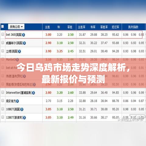 今日烏雞市場(chǎng)走勢(shì)深度解析，最新報(bào)價(jià)與預(yù)測(cè)