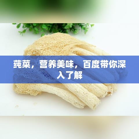 莼菜，營養(yǎng)美味，百度帶你深入了解